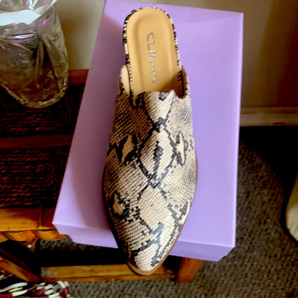 Ladies shoes